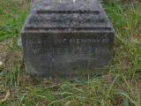 image of grave number 507733